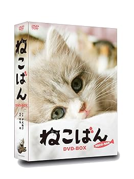【中古】連続テレビドラマ ねこばん DVD-BOX