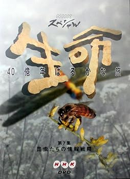 【中古】NHKスペシャル 生命40億年はるかな旅 第7集:昆虫たちの情報戦略 [DVD]｜スカーレット2021