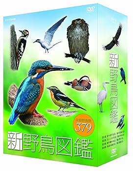 【中古】新 野鳥図鑑 DVD-BOX 全4枚セット【ＮＨＫスクエア限定商品】