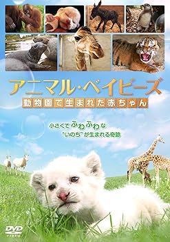 【中古】アニマル・ベイビーズ 動物園で生まれた赤ちゃん [DVD]