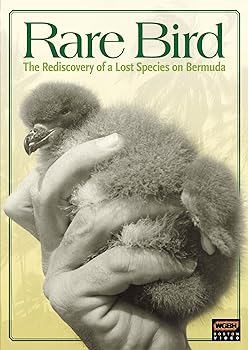 【中古】Wgbh Boston Specials: Rare Bird [DVD]｜スカーレット2021