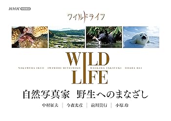 【中古】ワイルドライフ 自然写真家 野生へのまなざし BOX [DVD]