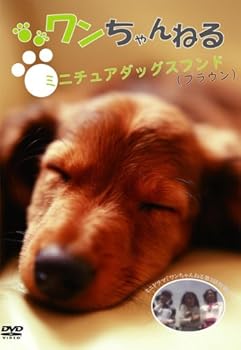 【中古】ワンちゃんねる 双子のミニチュアダックスフンド(ブラウン) [DVD] 9,792円
