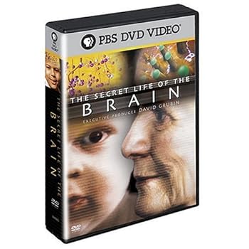 【中古】Secret Life of Brain [DVD]｜スカーレット2021