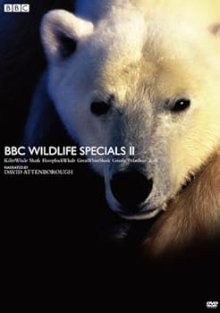 【中古】BBC ワイルドライフ・スペシャルII DVD-BOX