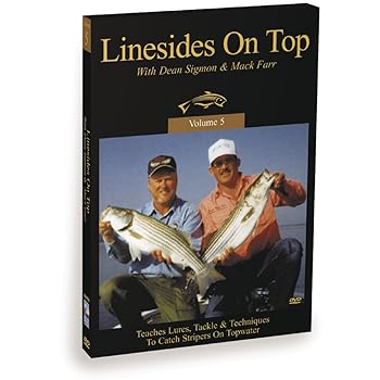 【中古】Linesides on Top [DVD] [Import]｜スカーレット2021