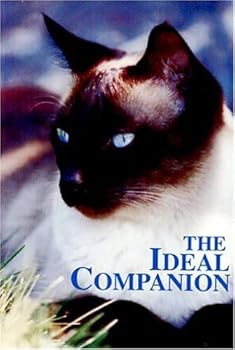【中古】Ideal Companion [DVD]