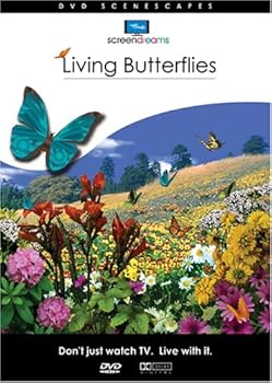 【中古】Living Butterflies [DVD]｜スカーレット2021