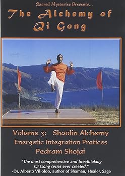 【中古】Alchemy of Qi Gong 3: Sholin Alchemy - Energetic [DVD]｜スカーレット2021