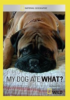 【中古】My Dog Ate What? [DVD] [Import]