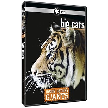 【中古】Inside NatureS Giants: Big Cats [DVD]