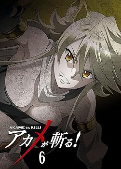 【中古】アカメが斬る! vol.6 DVD 【初回生産限定版】 9,020円