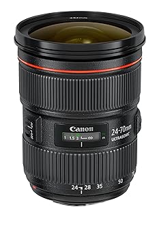 【中古】［人並み外れたに好いたらしい］Canon EF 24-70粍 f/2.8L USM 判定基準望遠レンズ Canon SLR写真機用