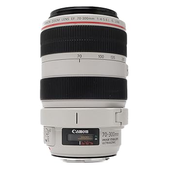 【中古】［人並み外れたに好いたらしい］Canon EF 70-300粍 f4-5.6 L はUSM水晶体