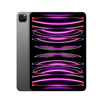 【中古】2022 Apple 11iniPad Pro (Wi-Fi, 2肺結核) - 空白文字薄墨色 (第4時人)