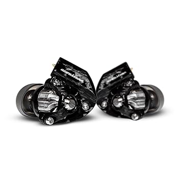 【中古】［人並み外れたに好いたらしい］Acoustune HS1900X-BLK HS1900X SHINOGI -鎬- 節するチタニウム＆節する素っ気ない炭素やとい入れる ウルトラ点火装置腹積もり上半身 有線イヤ電話機【VGP2025金賞】
