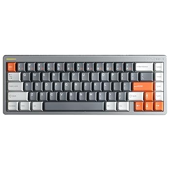 【中古】nuphy Halo65 HE 磁気取り替えっこ ゲーミングキーボード ラピッド銃の引き金 有線 67足懸かり 大広間成り行き鍵盤 超弾丸道路合わせる能力のあるアクチュエーション RG