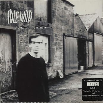 【中古】Actually It's Darkness [7 inch Analog]