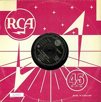 【中古】A Big Hunk of Love [10 inch Analog]