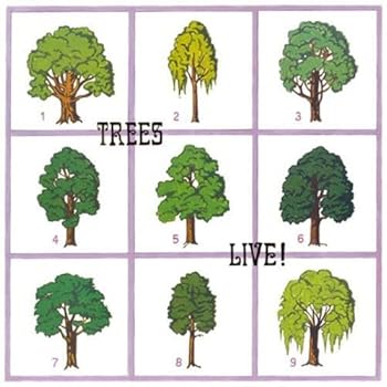 【中古】Live [Analog]
