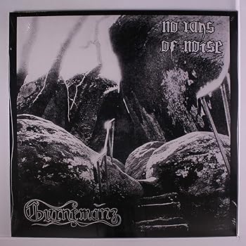 【中古】No Rays of Noise -Hq- [Analog]