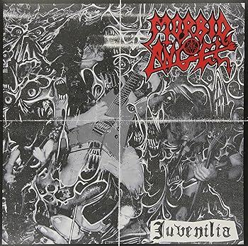 【中古】Juvenilia [12 inch Analog]｜スカーレット2021