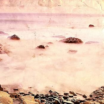【中古】5 - LTD.EDITION [Analog]