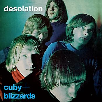 【中古】Desolation - Limited 180-Gram Silver Colored Vinyl [Analog]