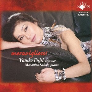 【中古】藤井泰子 \