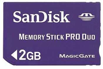 【中古】MemoryStick Pro Duo 2GB [PC]｜スカーレット2021