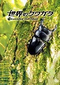 【中古】世界のクワガタ[DVD] [レンタル落ち]｜スカーレット2021