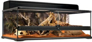 楽天市場】GEX グラステラリウム 9045 爬虫類 飼育 ケージ ガラス