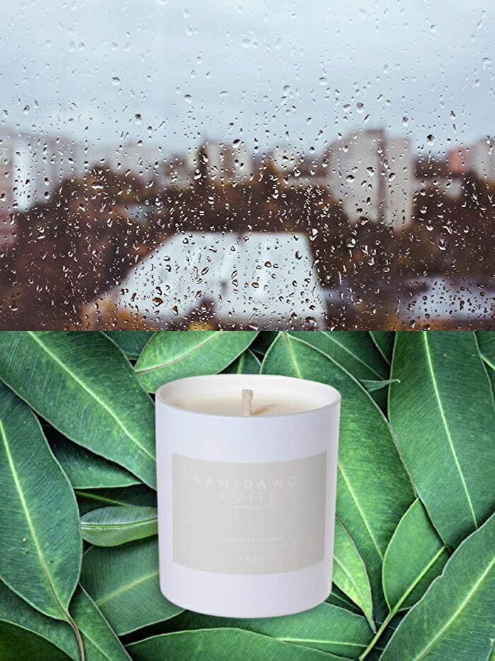 楽天市場 30 Off クーポン配布中 Eagg Candle エッグキャンドル アロマ キャンドル アロマキャンドル ろうそく ルームフレグランス フレグランスキャンドル ラベンダー フローラル シナモン ユーカリ セージ 癒やし 人気 かわいい おしゃれ 長持ち インテリア 香り