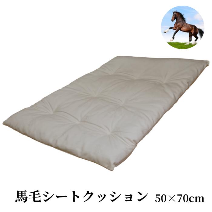 綿毛へのこだわり