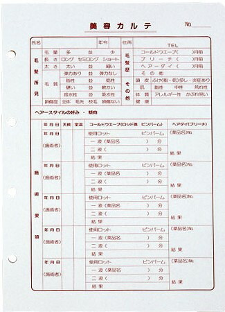 楽天市場 美容カルテ 用紙 100枚 美容室 美容院 美容師 プロ 愛用 業務用 サロン専売品 Bs ビューティー ストアー