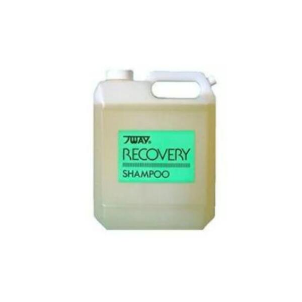 楽天市場】ニューウェイジャパン パイウェイ リカバリー シャンプー