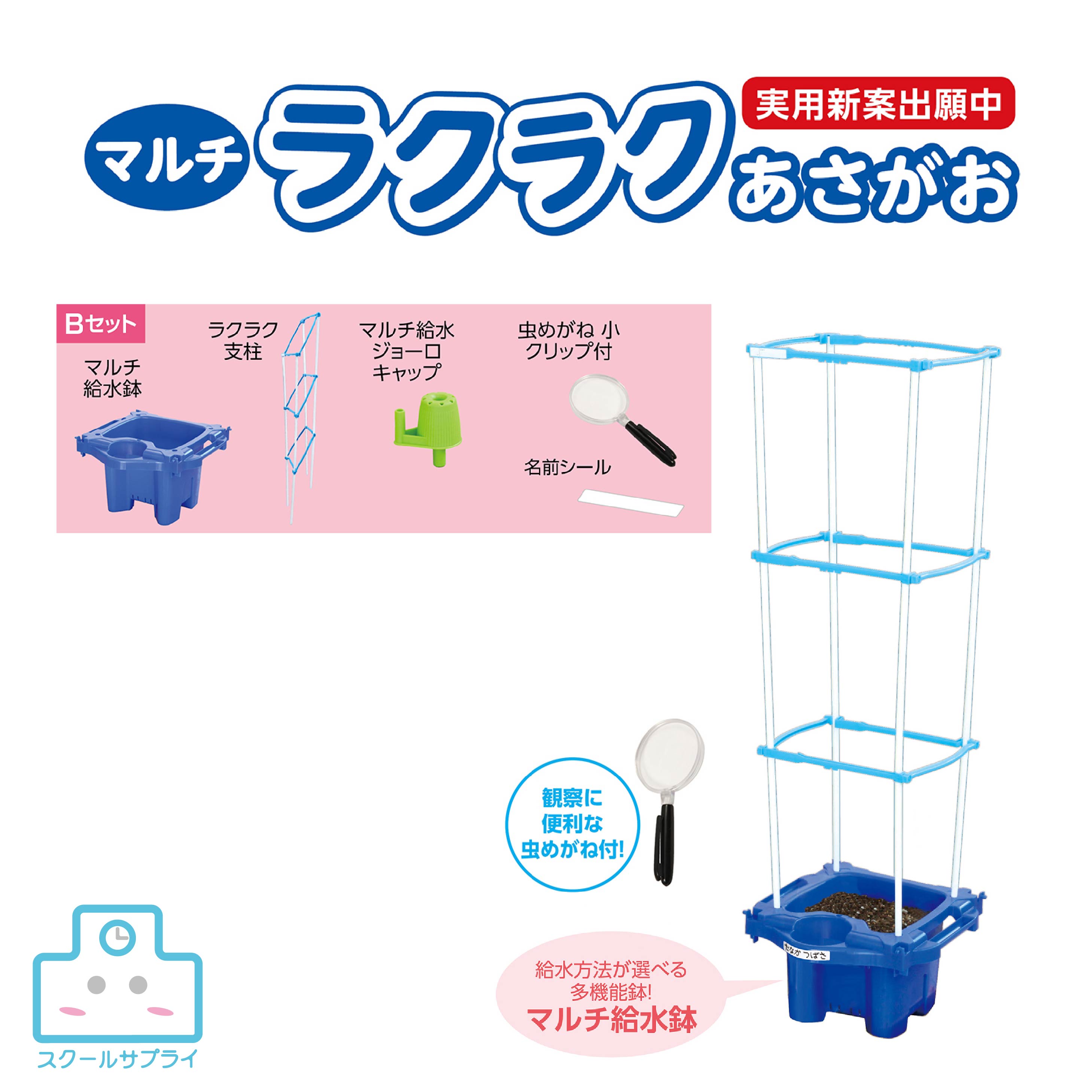 楽天市場】マルチラクラク あさがお 虫めがね付 Cセット 夏休み