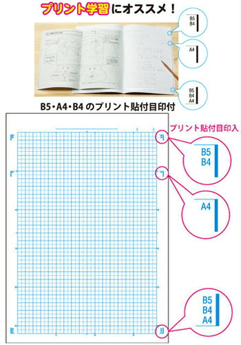 楽天市場 算数 判 5mm方眼 中心リーダー入 キョクトウ 日本ノート カレッジアニマル学習帳 方眼ノート プリント貼付目印付 Lpa2 アザラシ スクールｔｏｗｎ