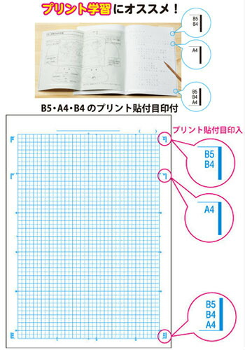 楽天市場 理科 判 5mm方眼 中心リーダー入 キョクトウ 日本ノート カレッジアニマル学習帳 方眼ノート プリント貼付目印付 Lpa3 ヒツジ スクールｔｏｗｎ