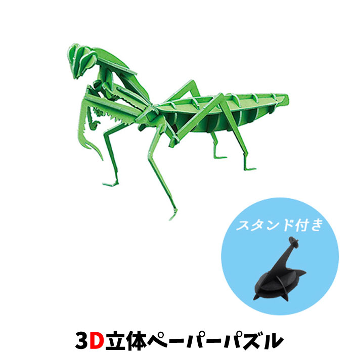 楽天市場】昆虫の標本 シャムオオキバノコギリカミキリ Dorysthenes