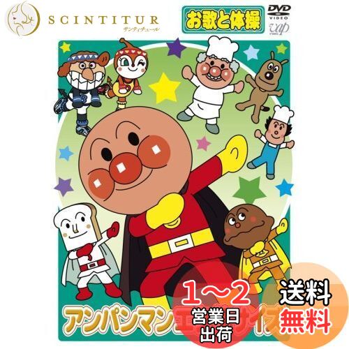 それいけ!アンパンマン 知育 DVD 11枚セット アンパンマンとはじめよう それいけ!アンパンマン 知育 DVD 11枚セット アンパンマンと