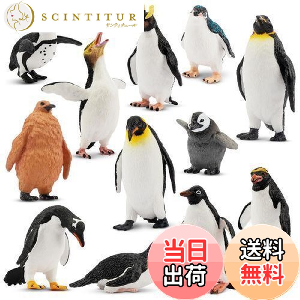 フィギュア ペンギン コカコーラ ポリゴン 南極 ガチャガチャで百科事典「南極・北極科学図鑑」 | ぺんぎんぽたぽた