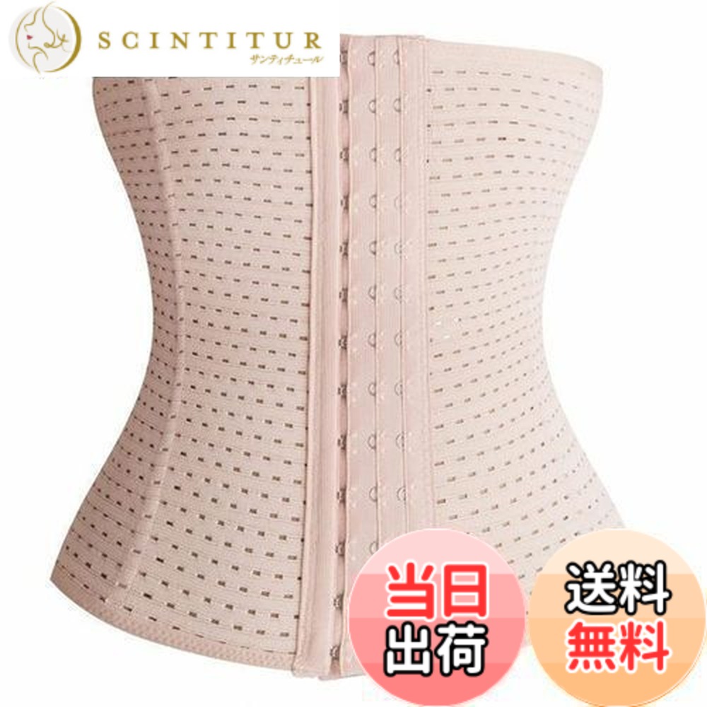 楽天市場】【送料無料】[Allanve] ウエストニッパー 【マイナス8cm革命