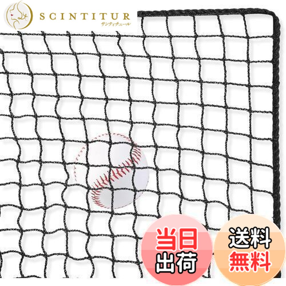AKOZLIN 3m×9m 硬式・軟式用野球ネット 野球バッティングトレーニング