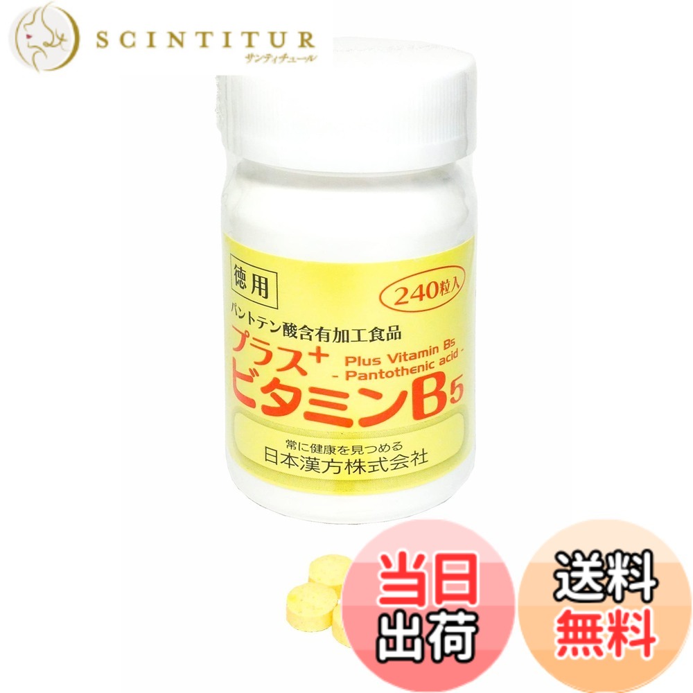 【送料無料】日本漢方 プラスビタミンB5 徳用 240粒入 サイズ：240個 (x 1)