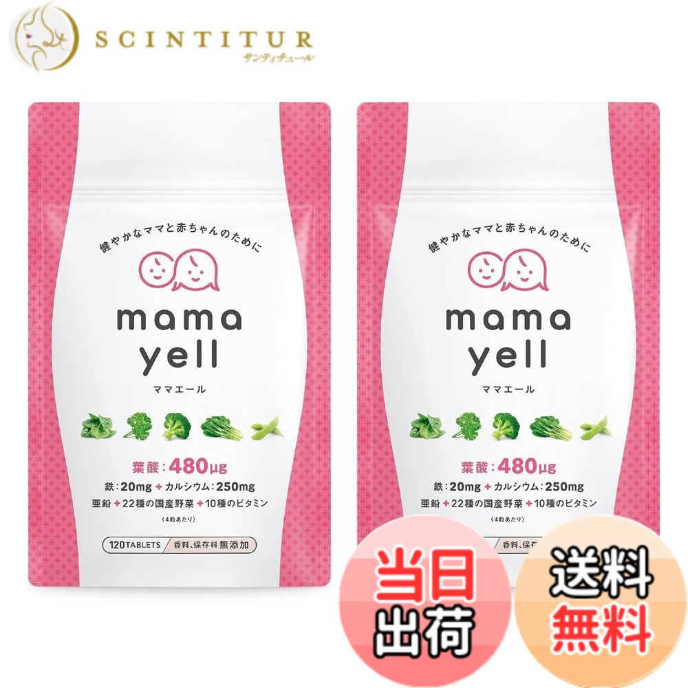 【送料無料】ママエールー親VerC