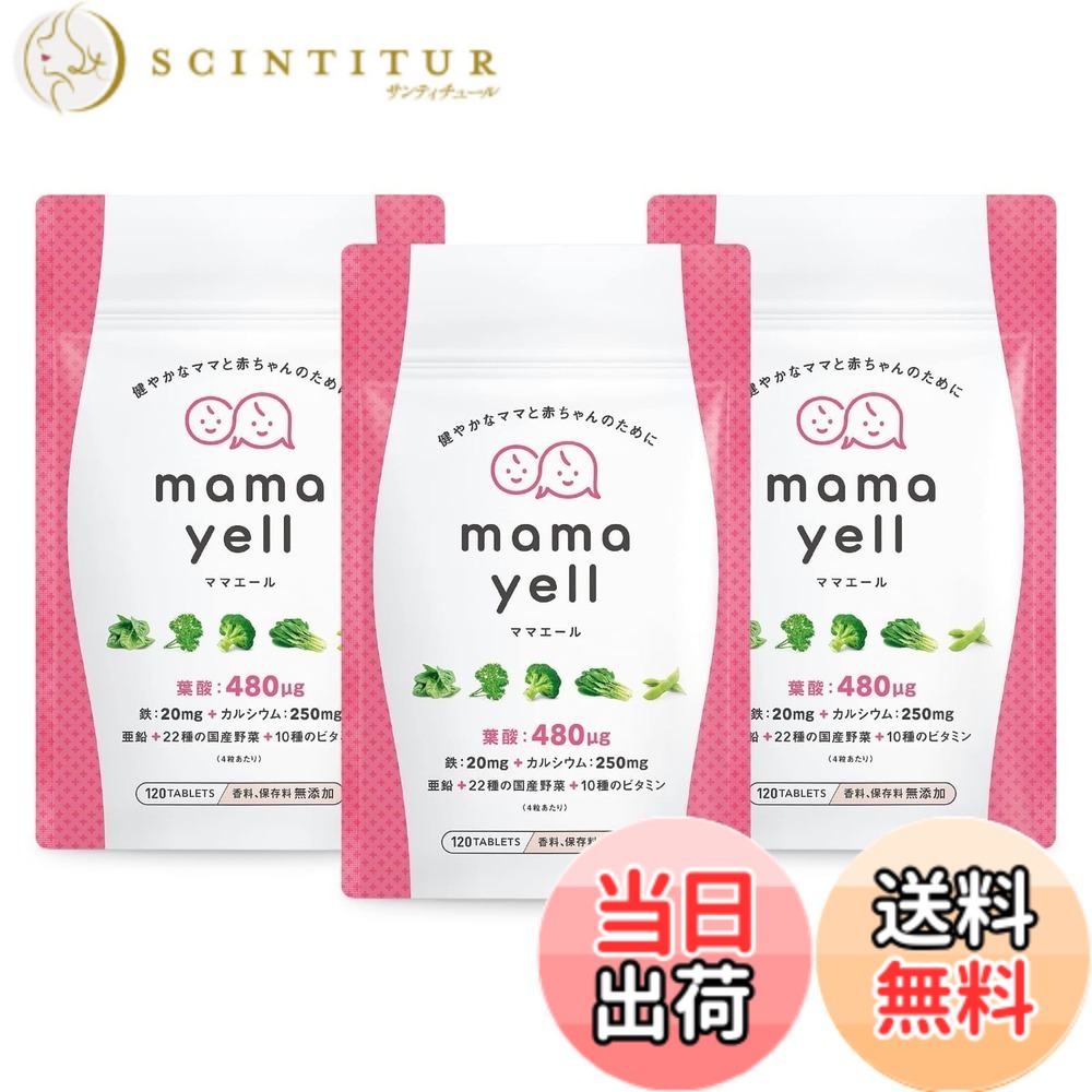 【送料無料】ママエールー親VerC