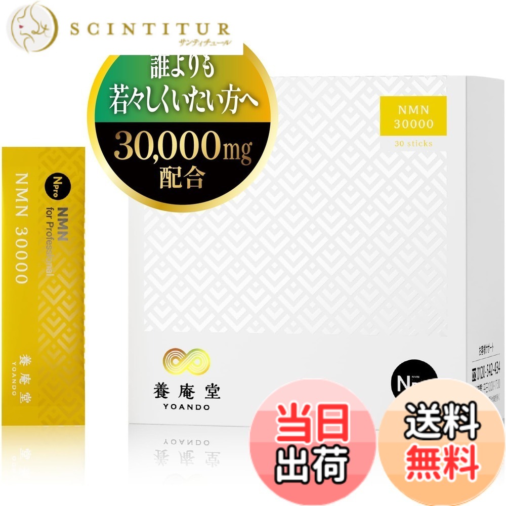【送料無料】養庵堂 VITAMIN サイズ：1.6グラム｜サンティチュール 37,428円