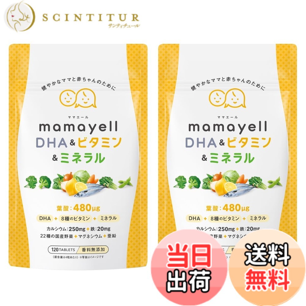 【送料無料】ママエールDHA＆ビタミン＆ミネラル 葉酸 高配合 480μg 妊婦 妊娠 産後 サプリメント DHA 8種類のビタミン ミネラル 鉄 カルシウム 亜鉛 国産野菜22種 配合 1か月分 サイズ：2袋