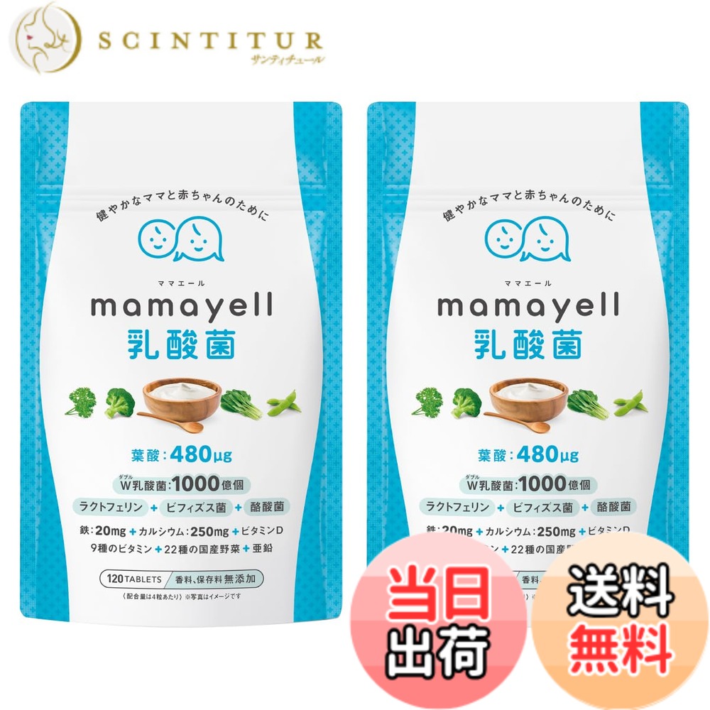 【送料無料】ママエール乳酸菌 葉酸 高配合 480μg 妊婦 妊娠 産後 サプリメント W乳酸菌 鉄 カルシウム ラクトフェリン ビフィズス菌 酪酸菌 亜鉛 9種類のビタミン 国産野菜22種 配合 1か月分 サイズ：2袋
